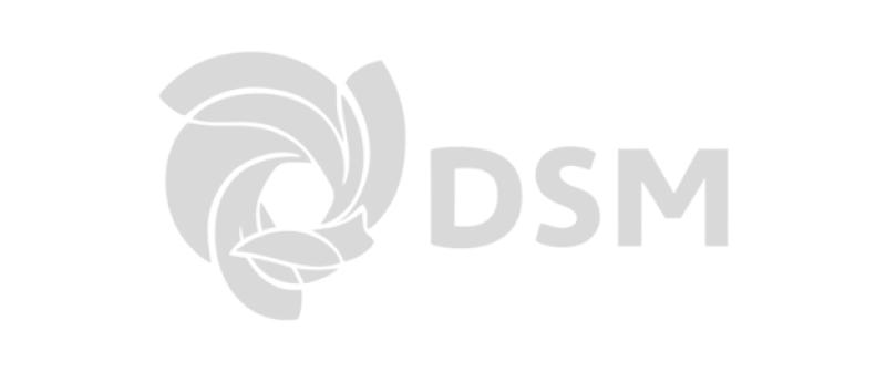 LOGO-DSM